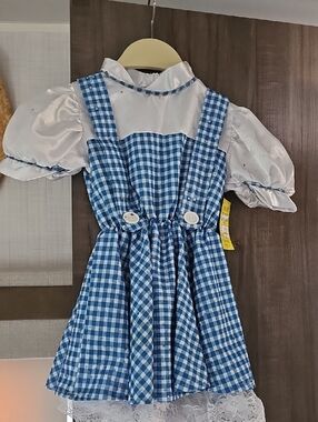 Blue Gingham Pinafore Dress with Puff Sleeve Blouse Vintage